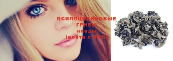 шишки Алексеевка