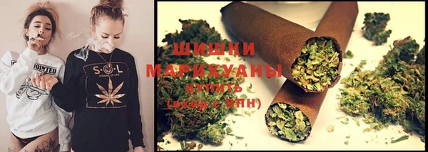 шишки Алексеевка