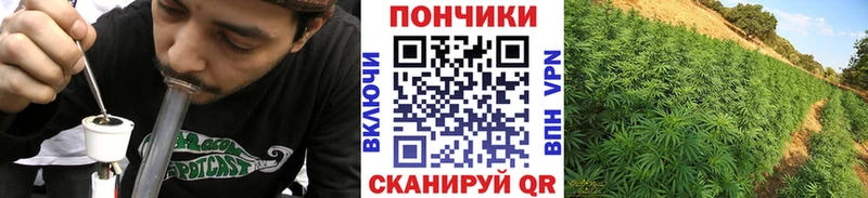 Каннабис планчик  площадка Telegram  Данилов  хочу наркоту  мега ссылка 